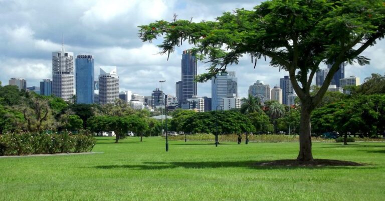 Best Picnic Spots in Brisbane: Enjoy the Outdoors with Family and Friends